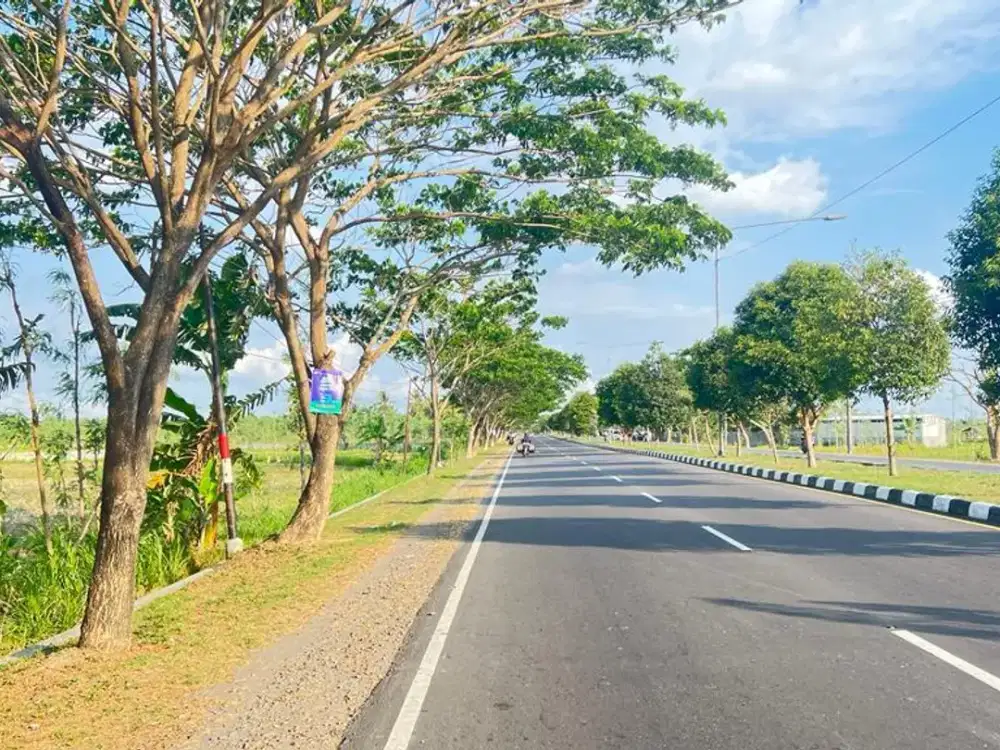 Tanah pinggir jalan Bypass BIL Lombok