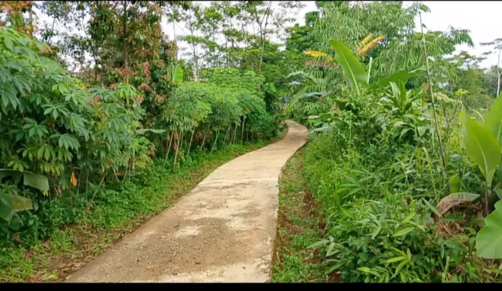Dijual lahan nempel jln mobil.
