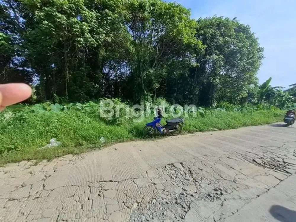 DIJUAL TANAH STRATEGIS DI BEJE2 DEKAT POROS JALAN BALIK  SELATAN