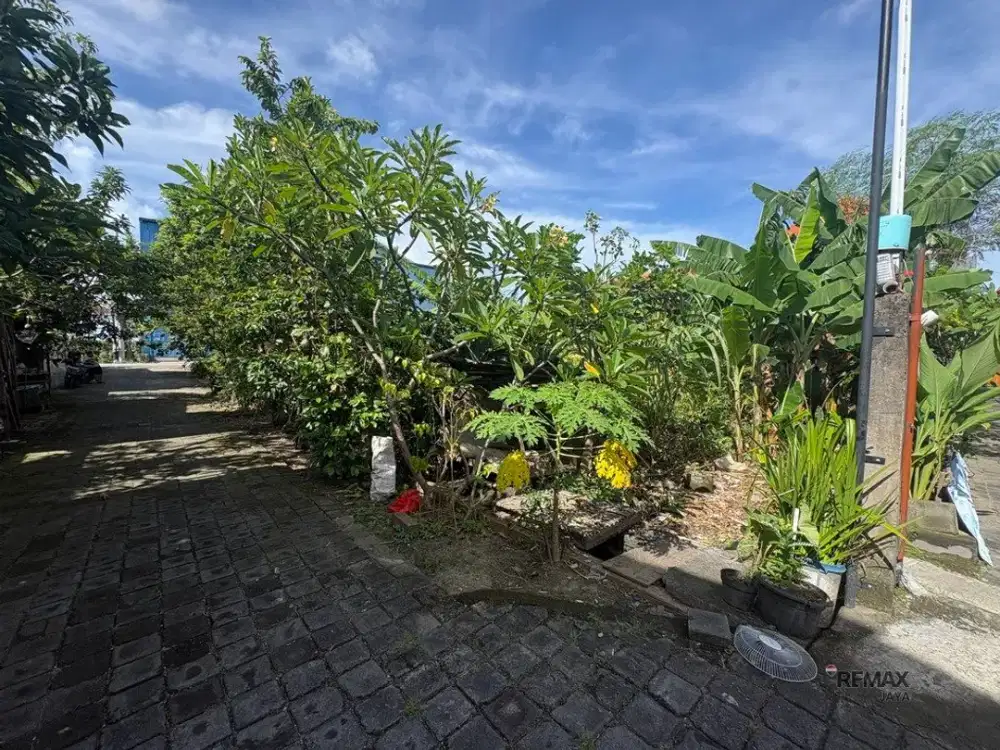 Tanah Cantik 6,8 Are Disewakan di Area Mahendradatta Selatan, Denpasar