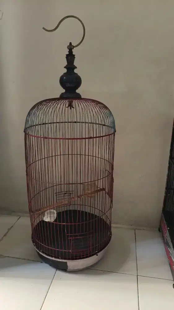 Kandang burung love bird tinggi kondisi sesuai di foto