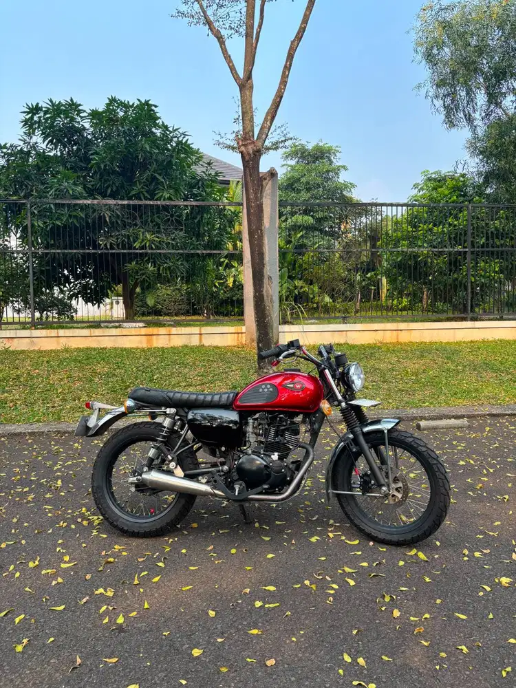 Kawasaki W175 Cafe (2020)