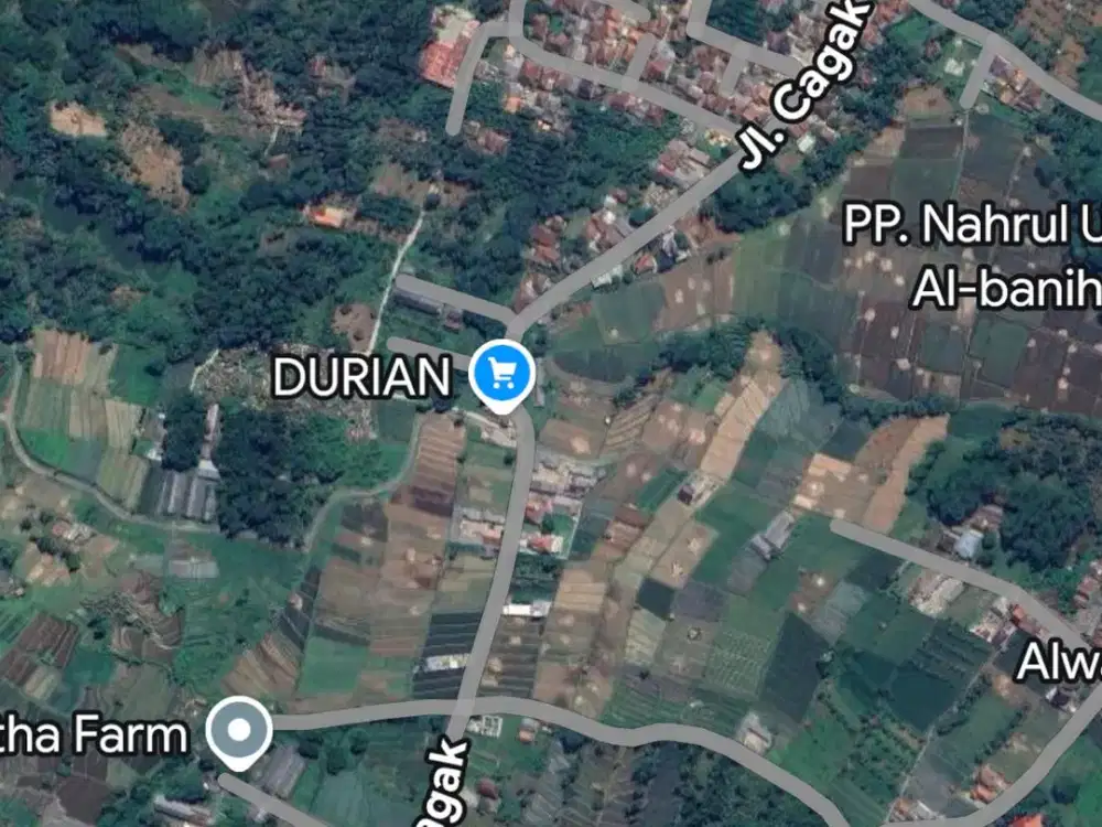 DIJUAL TANAH PREMIUM CIATER – JALAN CAGAK, SUBANG