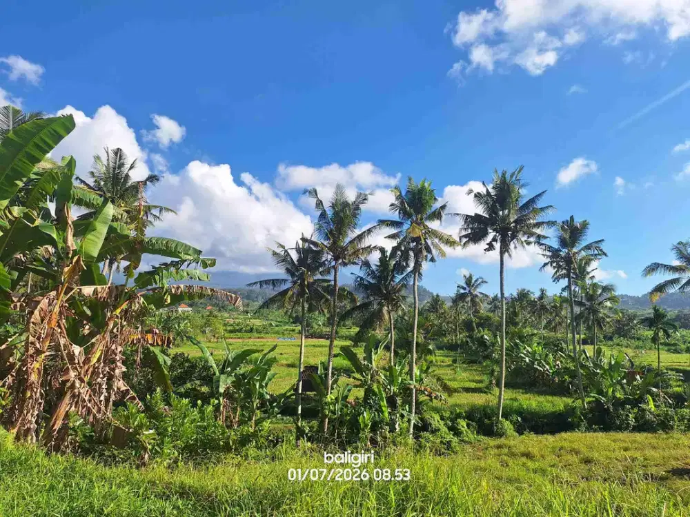 Tanah Murah 4 are di Bali