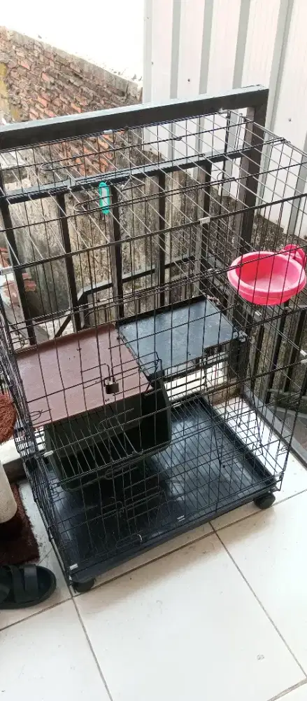 Kandang kucing tingkat
