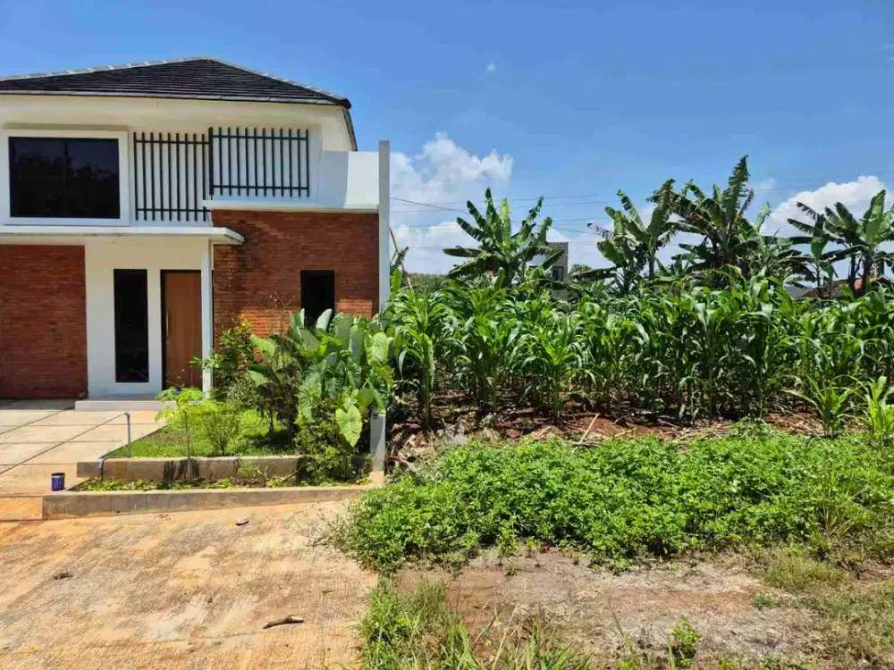 JUAL CEPAT,JUAL RUGI,KAVLING ISTIMEWA,SHM READY,PALIR NGALIYAN