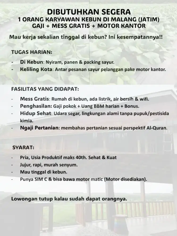 Karyawan Kebun Sayur Organik (Gaji+Mess+Motor)