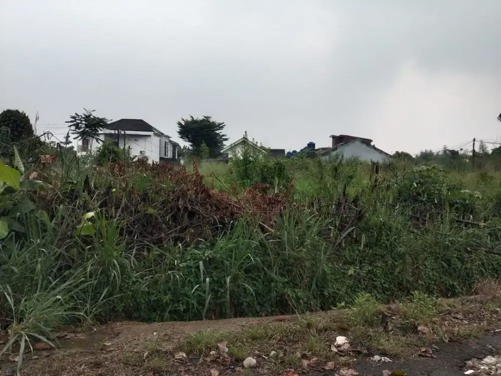 Dijual Tanah Gunung Sindur SHM di Komplek Bppt By Rumah Chinida (Rt)
