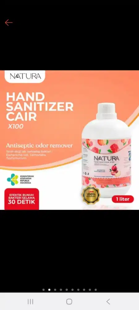 NATURA HAND SANITIZER X - 100 PEACH satu