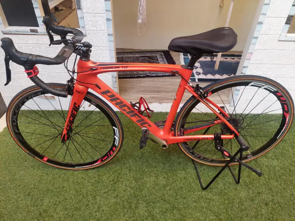 SEPEDA CARBON PACIFIC PREMIUM 7.0 Made in germany