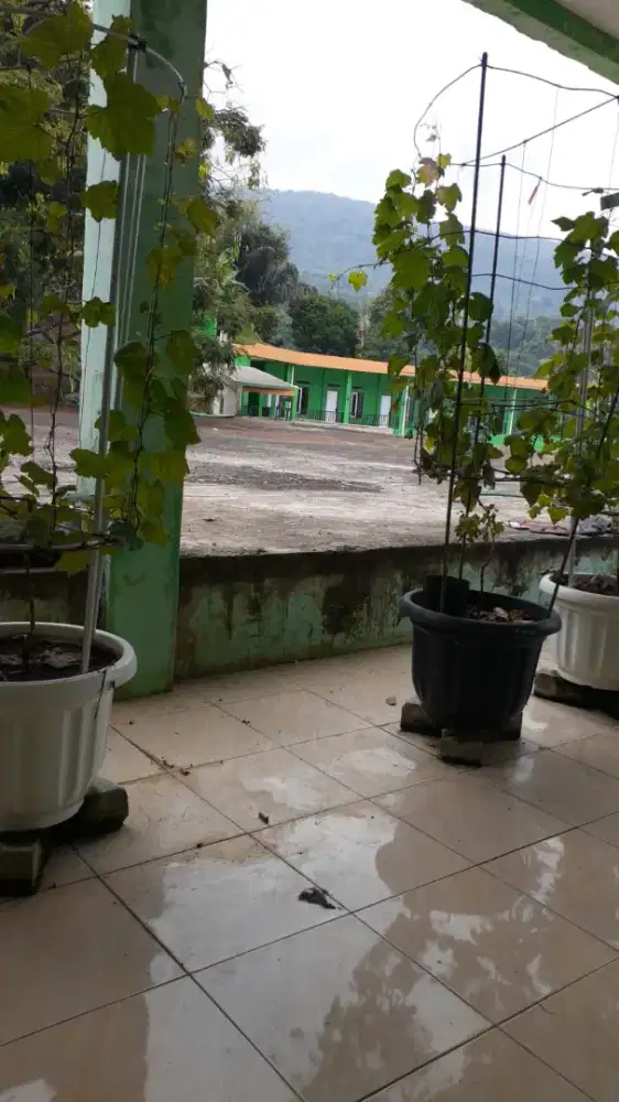 Orang yg bisa jaga