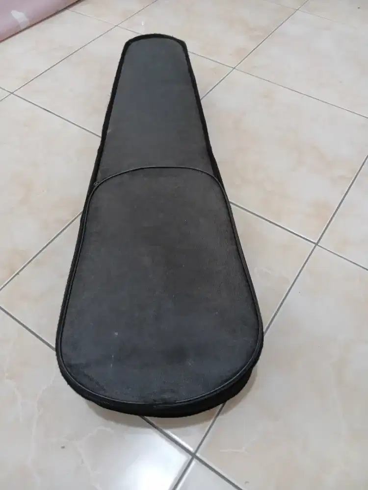 Biola ikuran 4/4 (bekas)