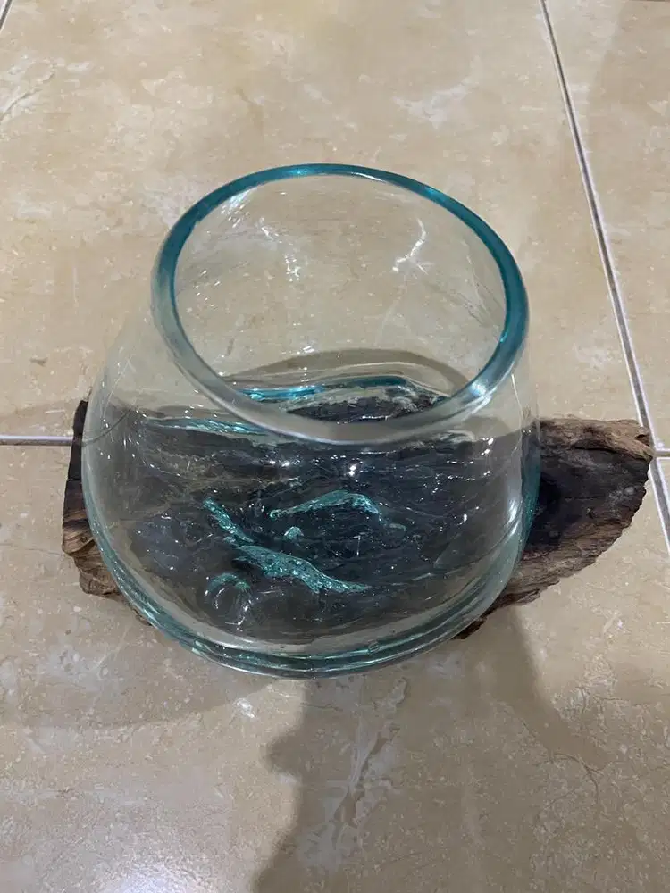 Aquarium ikan cupang