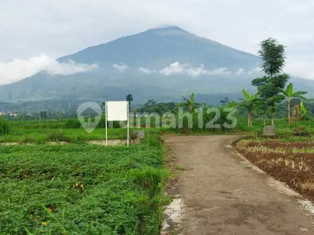 Kavling View Cantik Gunung Ciremai 2.920 m2 Cocok buat Villa