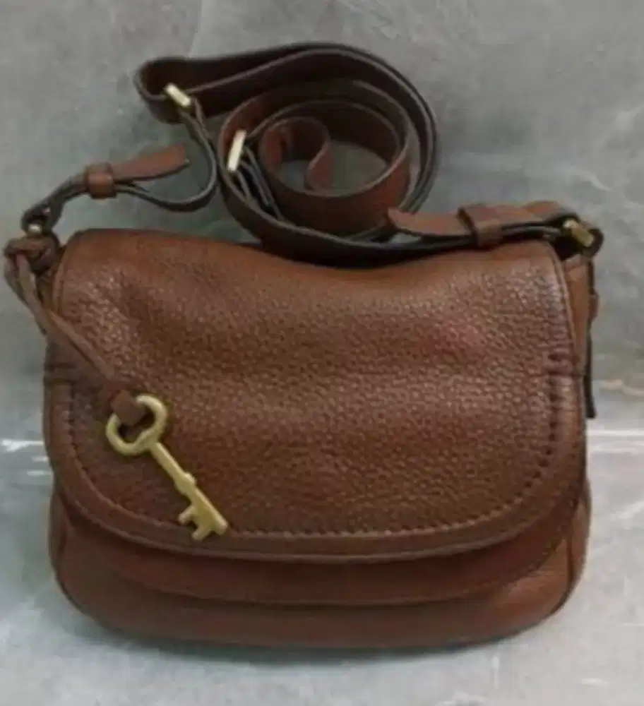 Tas Fossil Asli