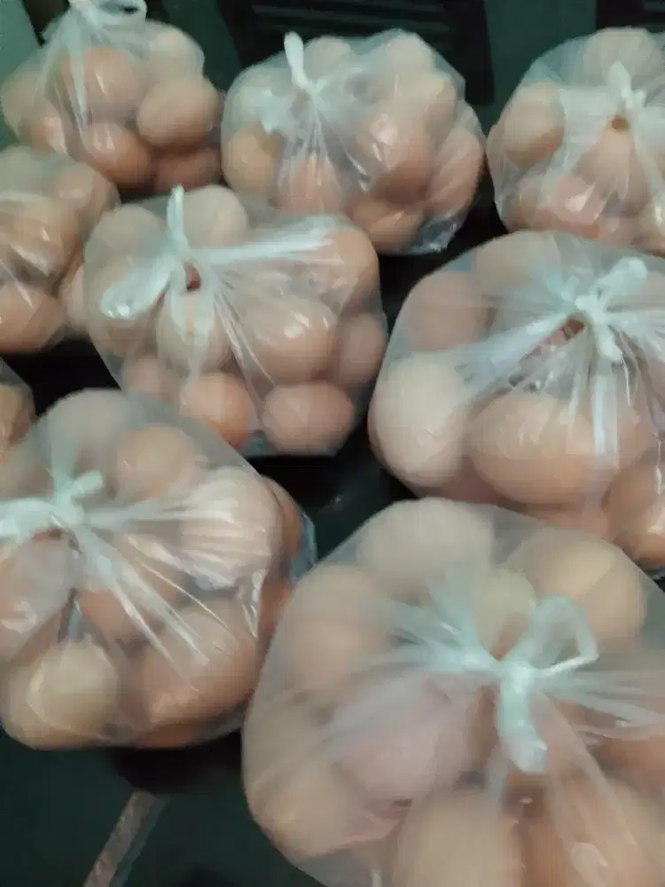 Telur ayam 1kg wonoayu