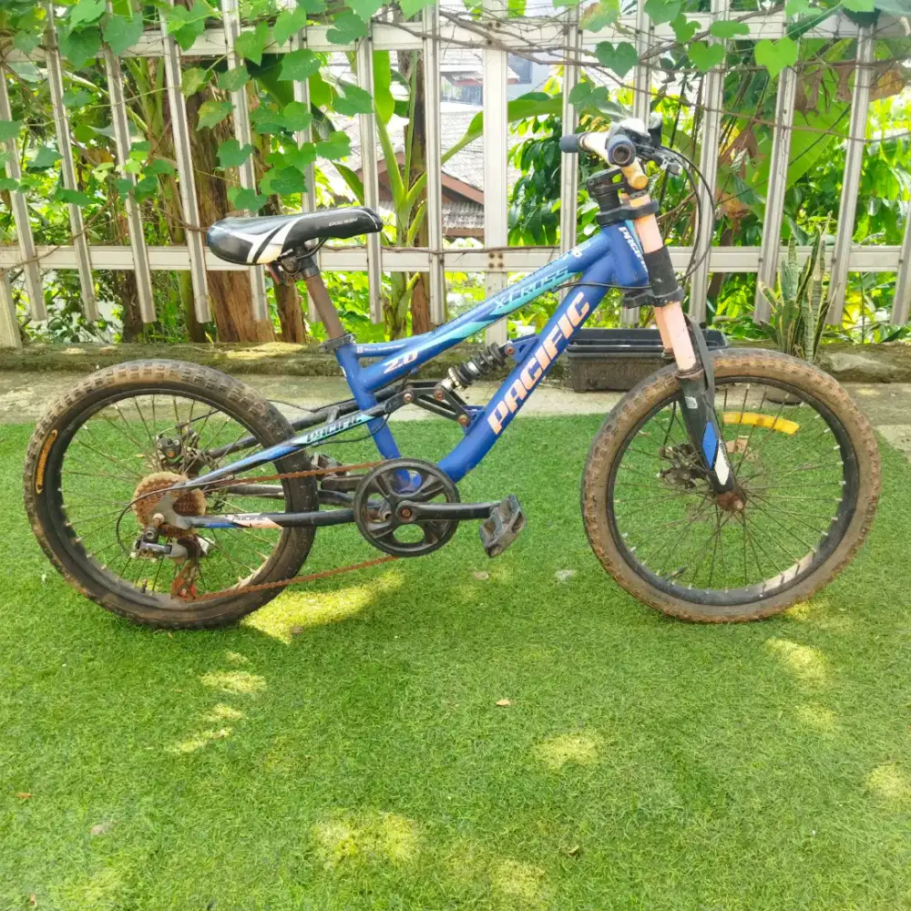 Sepeda anak MTB XCROSS 2.0 Pacific 20 Inch
