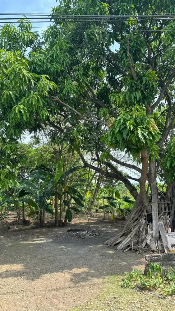 Dijual Tanah SHM tanpa perantara
