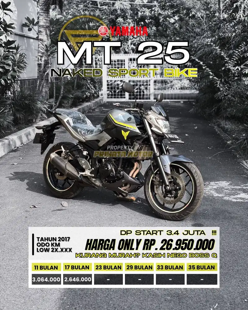YAMAHA MT25 2017