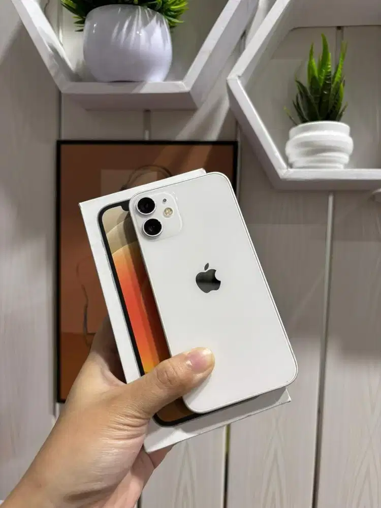 IPhone 12 Mini 64 Beacukai