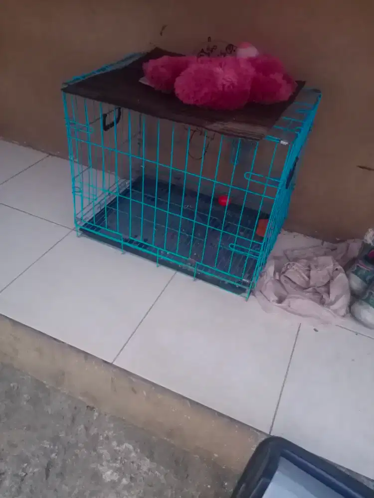 Kandang kucing bekas
