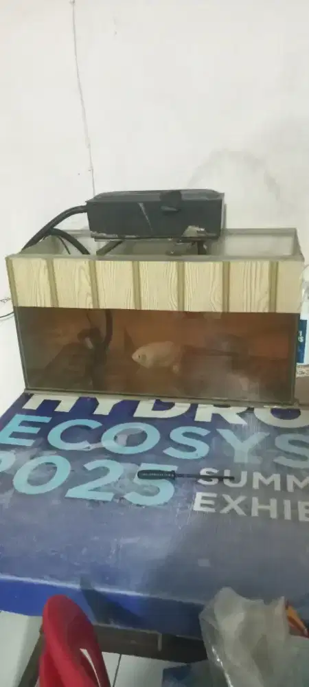 Aquarium p60*30*30 plus+