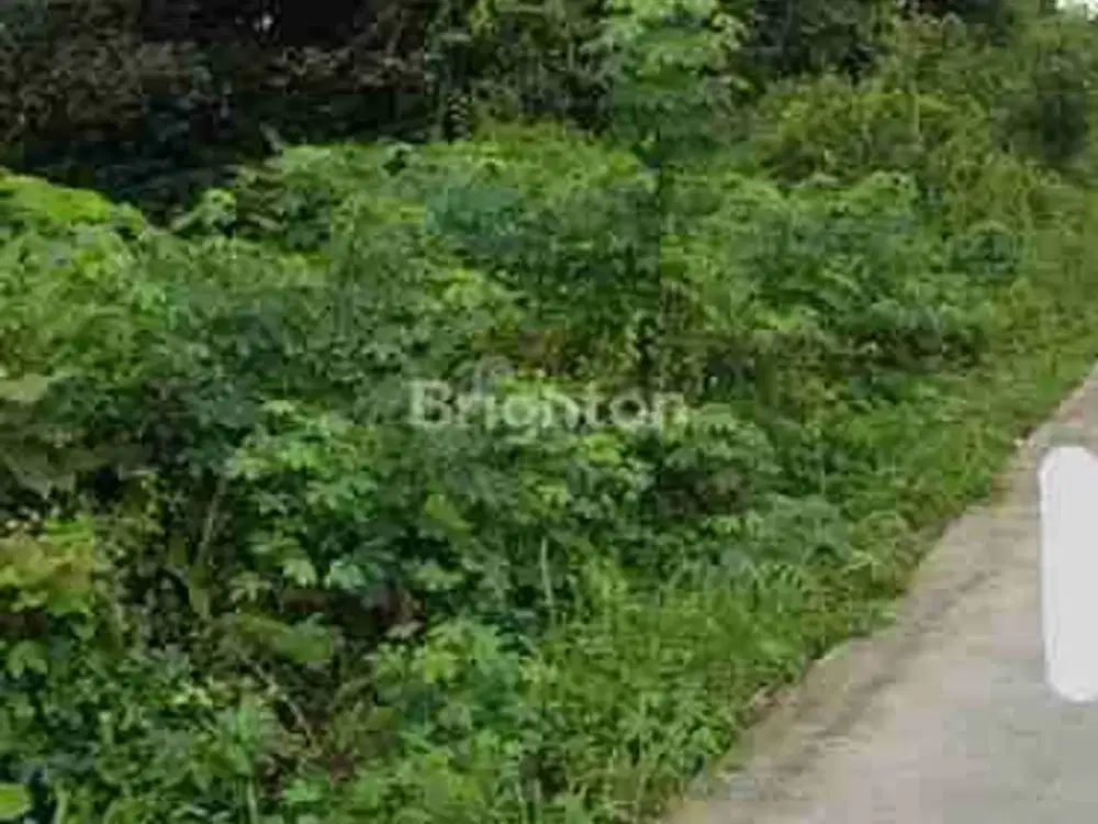 Sale. Jual Tanah 80000m2 Lokasi Samarinda Harga Terbaik