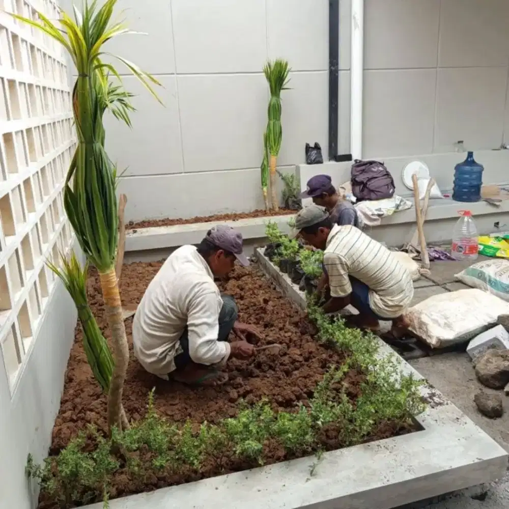 Terima jasa pembuatan taman