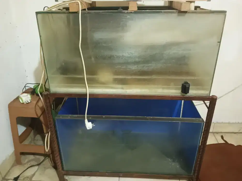 AQUARIUM PANJANG 80 CM LEBAR 40 CM 2 TINGKAT MURAH LENGKAP