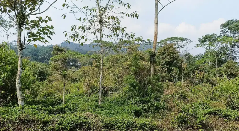 Dijual murah Tanah di Panawangan Ciamis dekat jalan raya & pasar