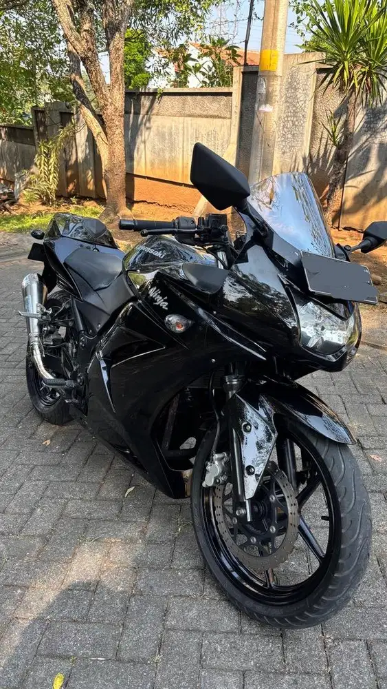 Ninja 250 karbu tangan pertama full papper