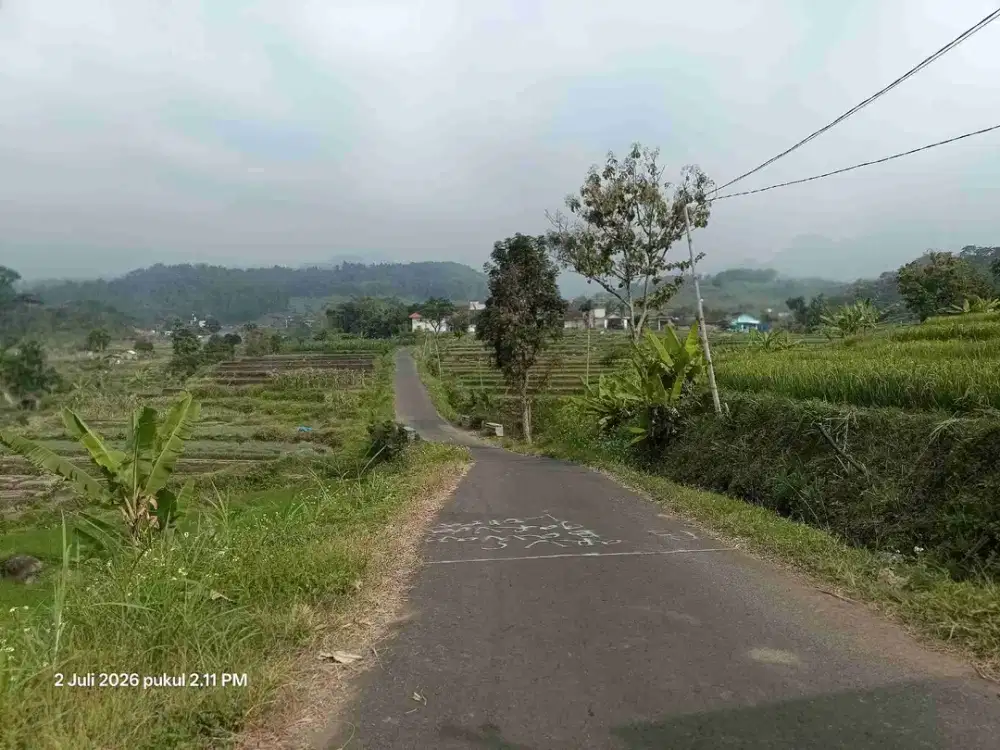 TANAH PACET VIEW CANTIK SEJUK