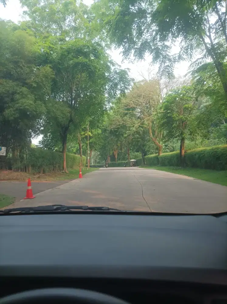 Rental Mobil + Supir