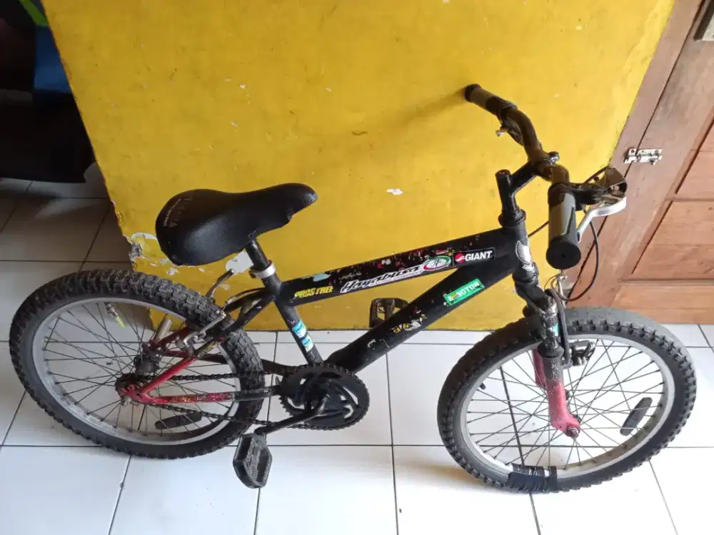 sepedah anak anak