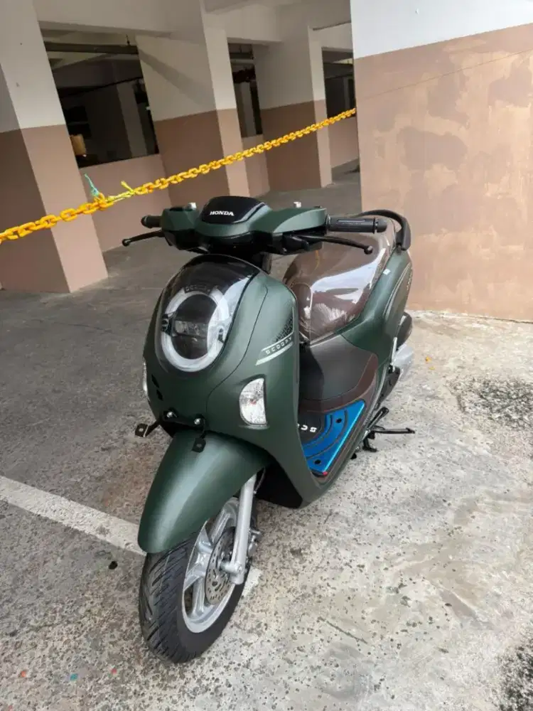 Honda Scoopy Stylish 2025 KM under 1000!