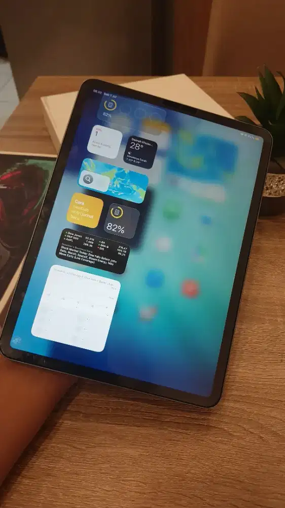 IPAD PRO 11 INCH WIFI 256GB
