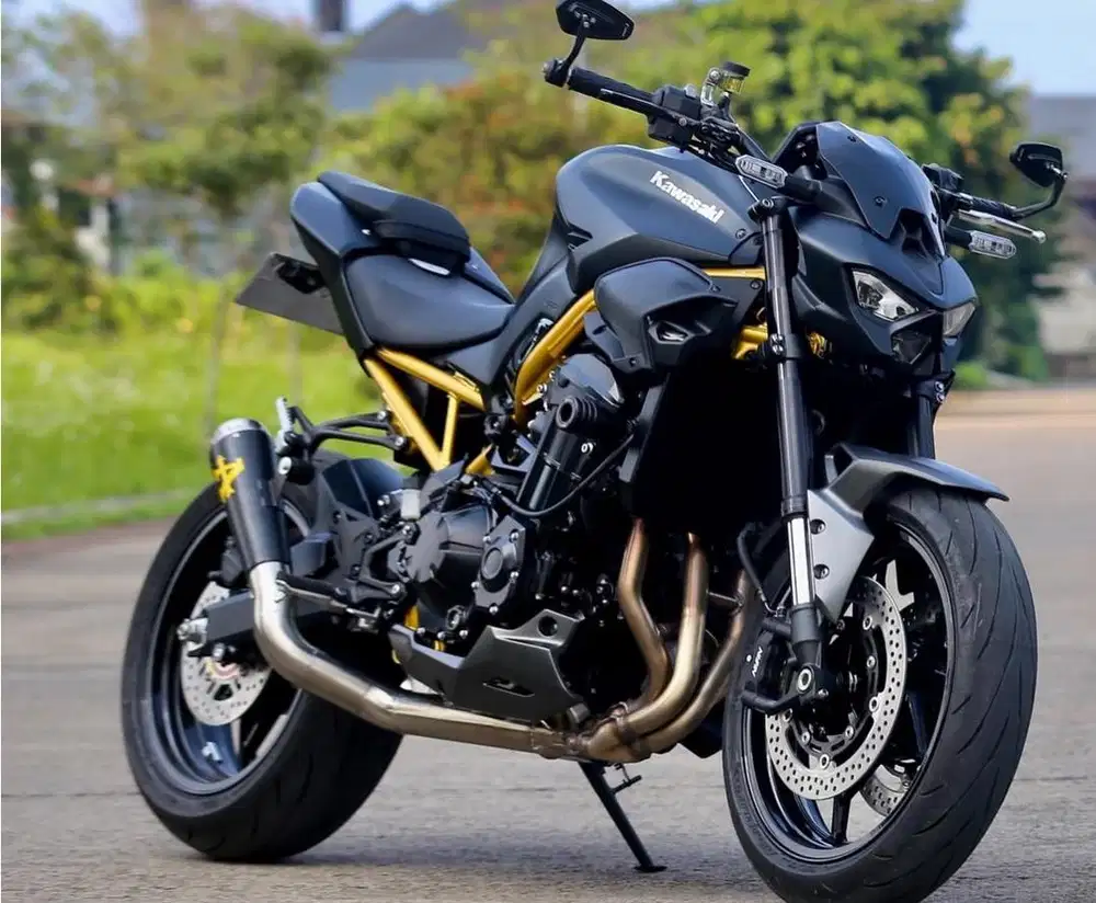 Kawasaki Z900 2025