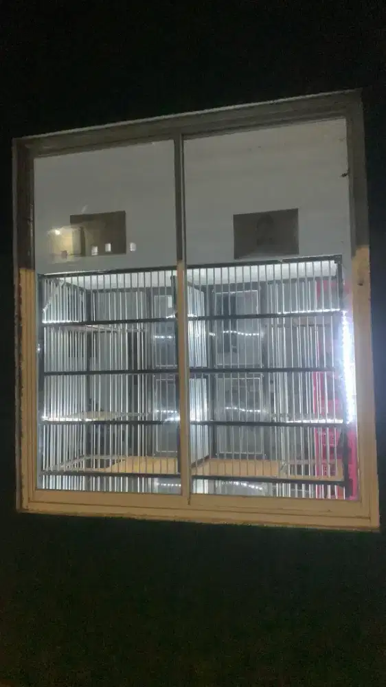 Penitipan Kucing / Cat Hotel