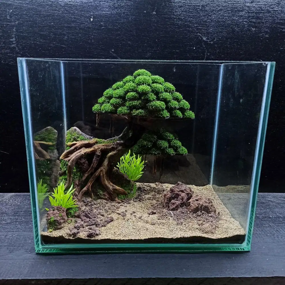 Aquascape ikan hias 30cm