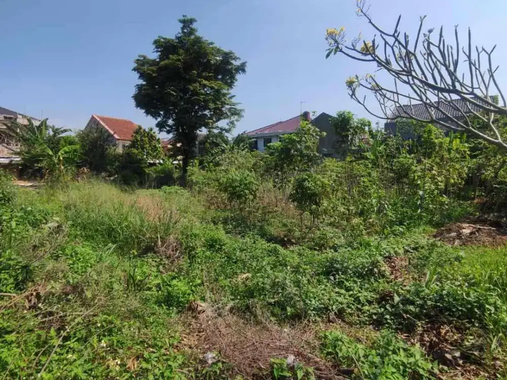 Dijual Tanah Hook 8 Jutaan Di Tengah Kota Bogor Di Indraprasta Bogor Utara