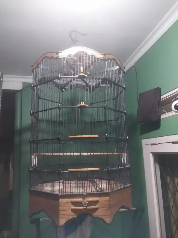 Sangkar burung besar antik