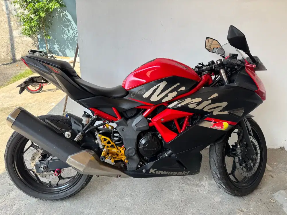 Ninja mono 250 sl 2021