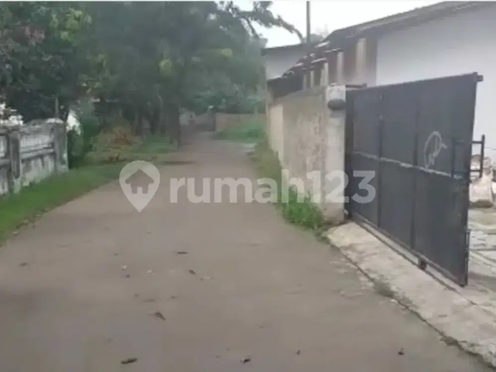 Turun Harga Gudang Ex Budidaya Lele Di Balaraja Tangerang Banten