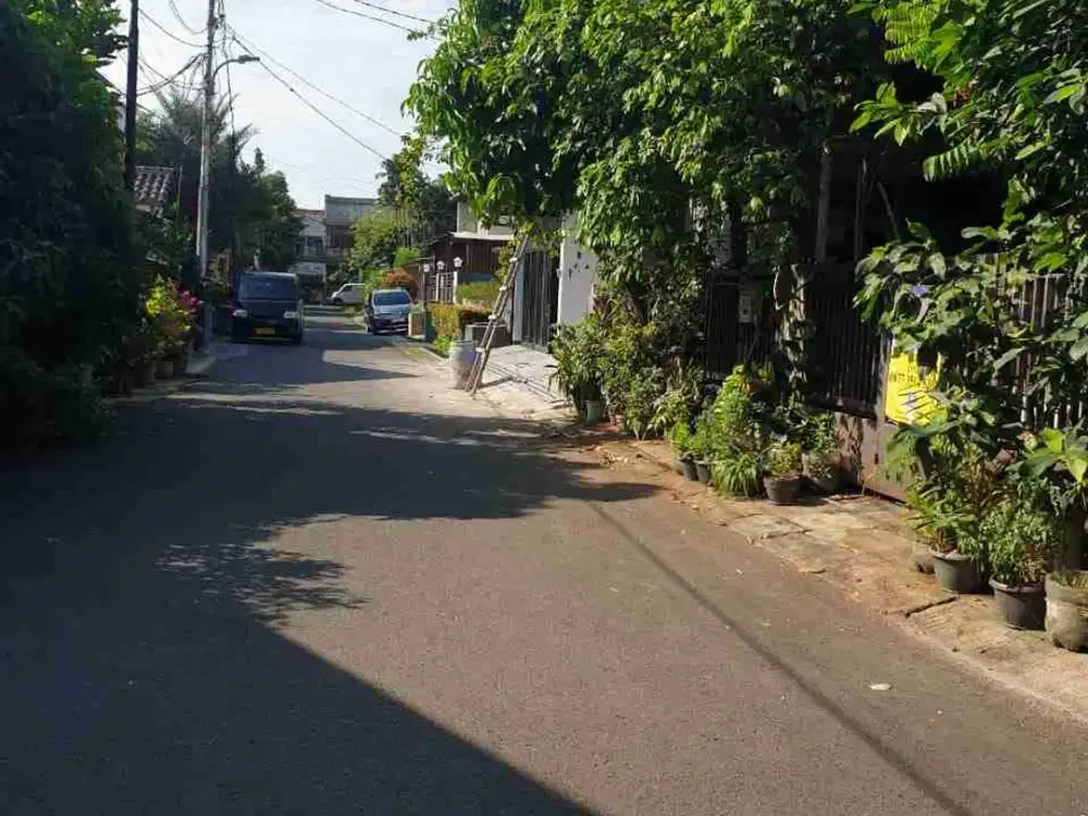 Tanah di Palapa