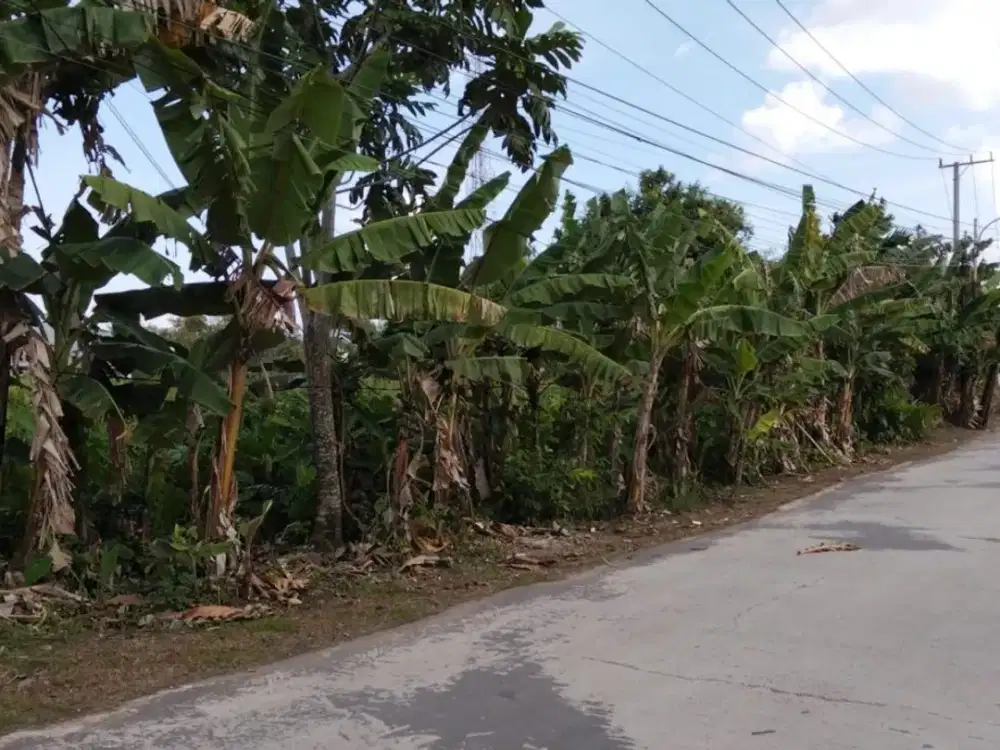 Dijual Lahan Komersil Jalan Tanjung Rawo Bukit Lama Palembang