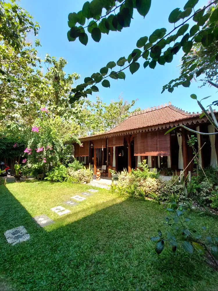 Villa Joglo Etnik dengan Taman Cantik di Guwosari
