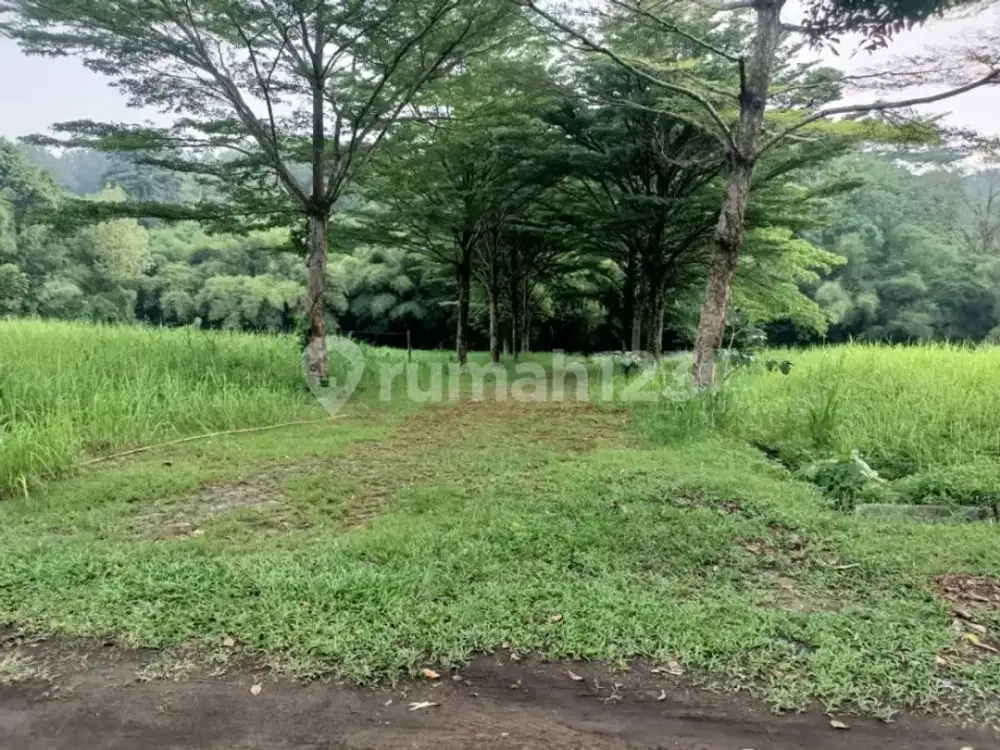 Kavling siap bangun di Bukit Cinere Indah, Depok jawa barat
