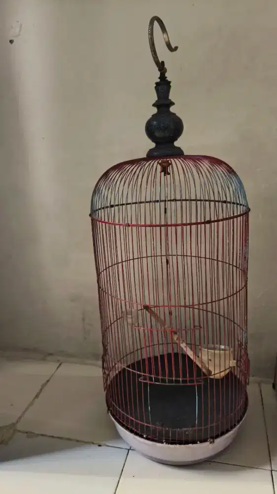 Kandang burung love bird ukuran tinggi