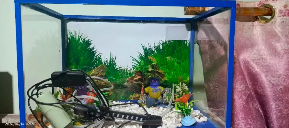 Jual aquarium akrilik