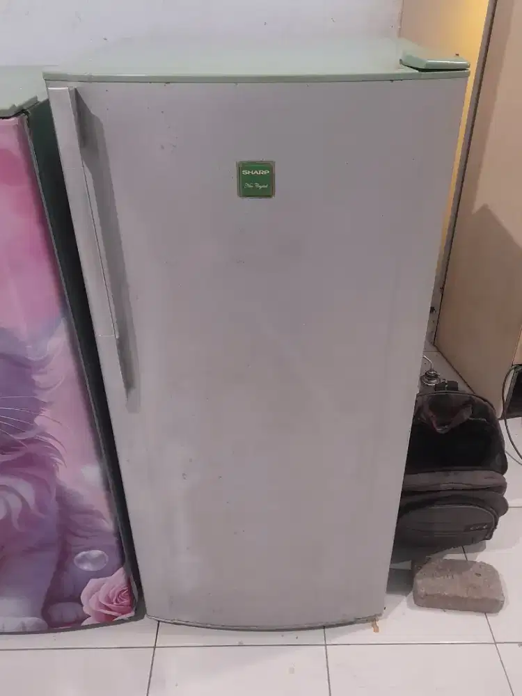 Kulkas 1 Pintu Sharp
